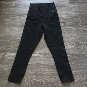 Black Wunder Under Crops
